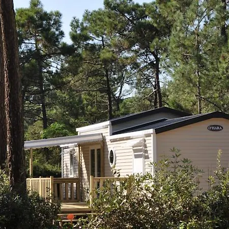 مكان تخييم Camping Domaine Des Pins **** La Parée Preneau